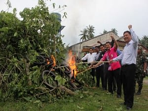Ilustración de una de las muchas quemas de árboles de Kratom llevadas a cabo en Thailandia en las últimas décadas