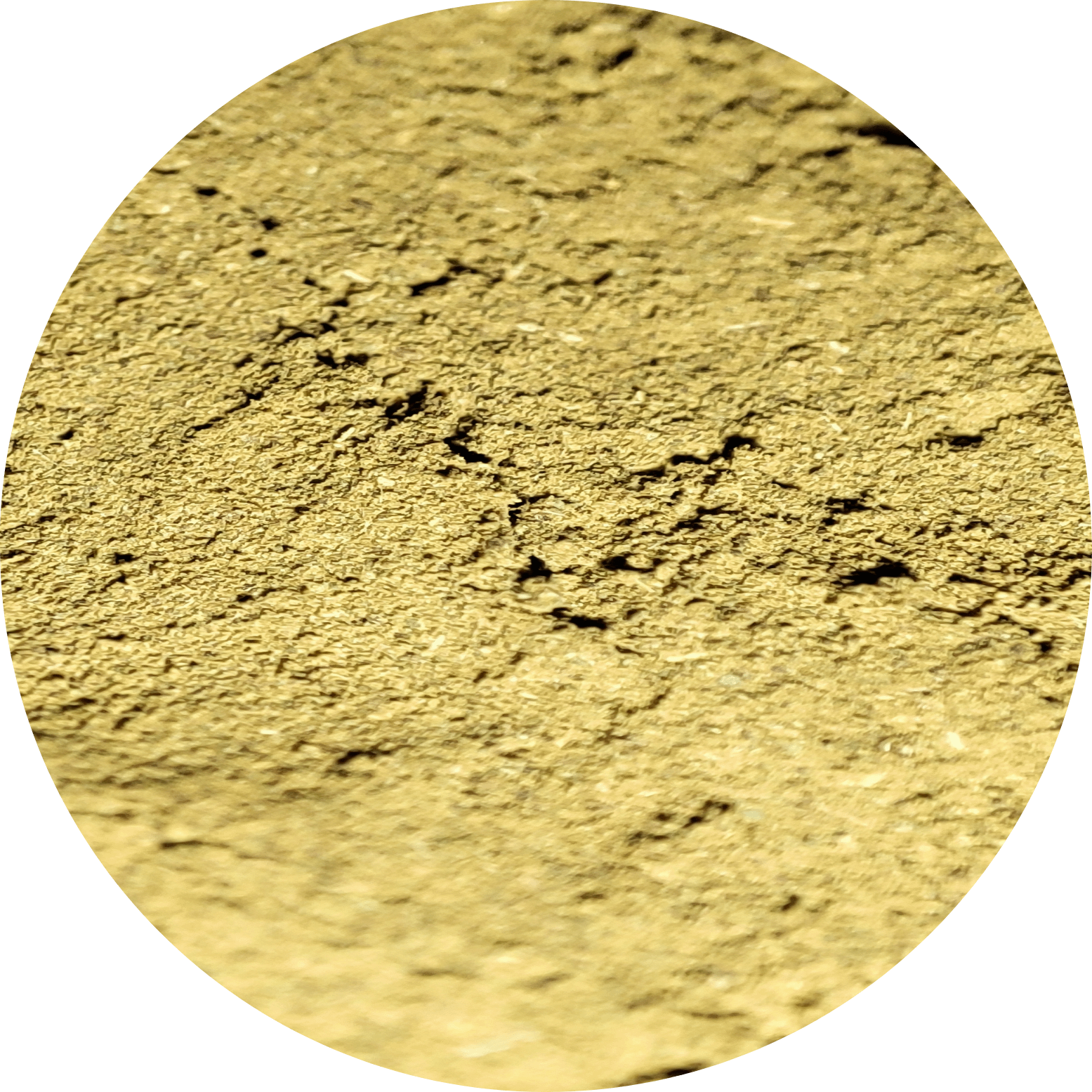 Macrofotografía del Kratom Bali