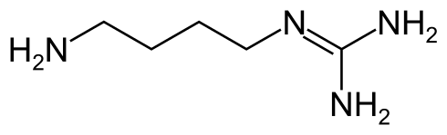 Estructura molecular de la agmatina